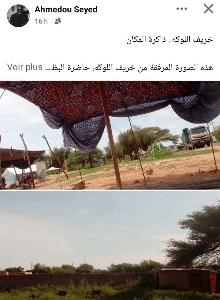 أحمد السيد يكتب: خريف اللوكَه.. ذاكرة المكان
